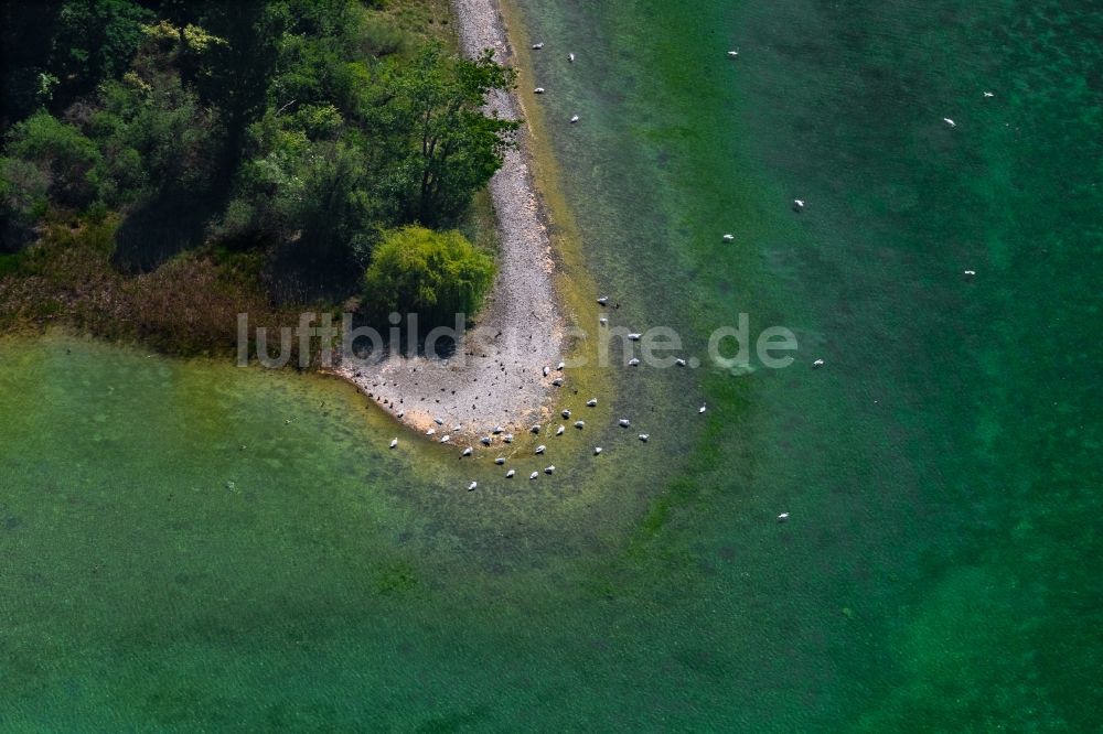 Radolfzell am Bodensee von oben - Halbinsel Mettnau Landschaft mit Uferbereich in Radolfzell am Bodensee im Bundesland Baden-Württemberg, Deutschland