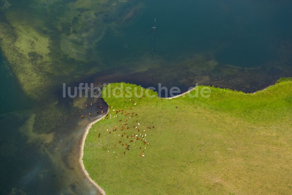 Luftaufnahme Ludorf - Halbinsel im See Müritz in Ludorf im Bundesland Mecklenburg-Vorpommern