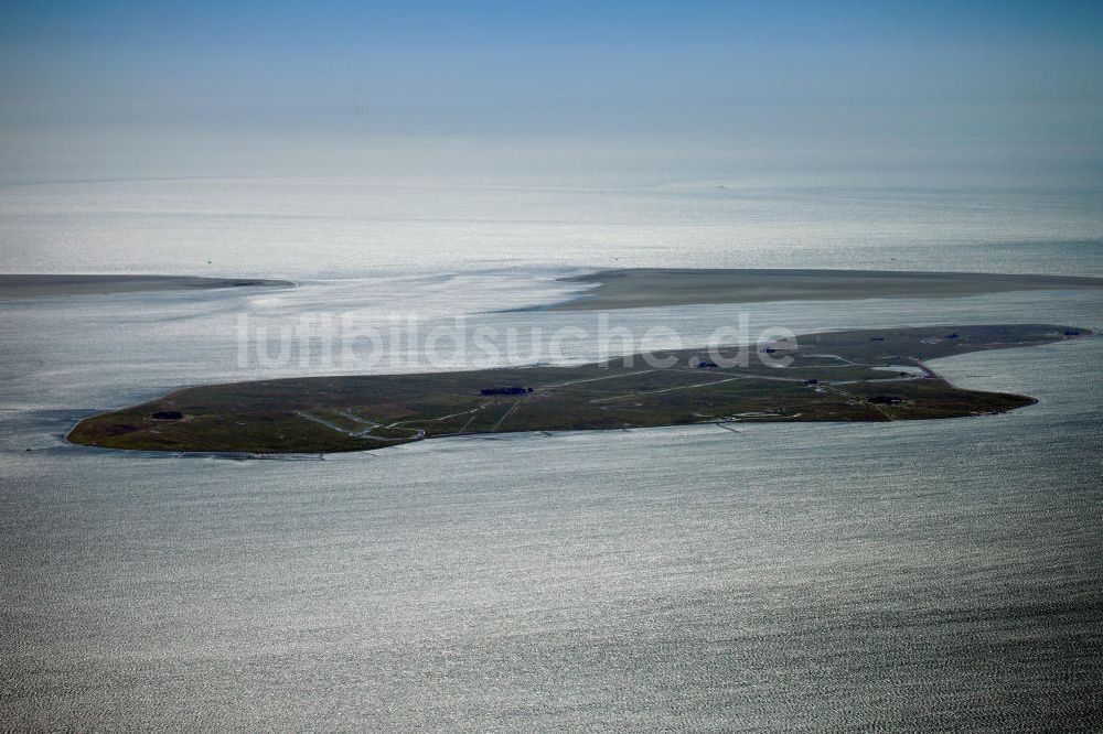 Luftbild Hooge - Hallig Hooge in Schleswig-Holstein