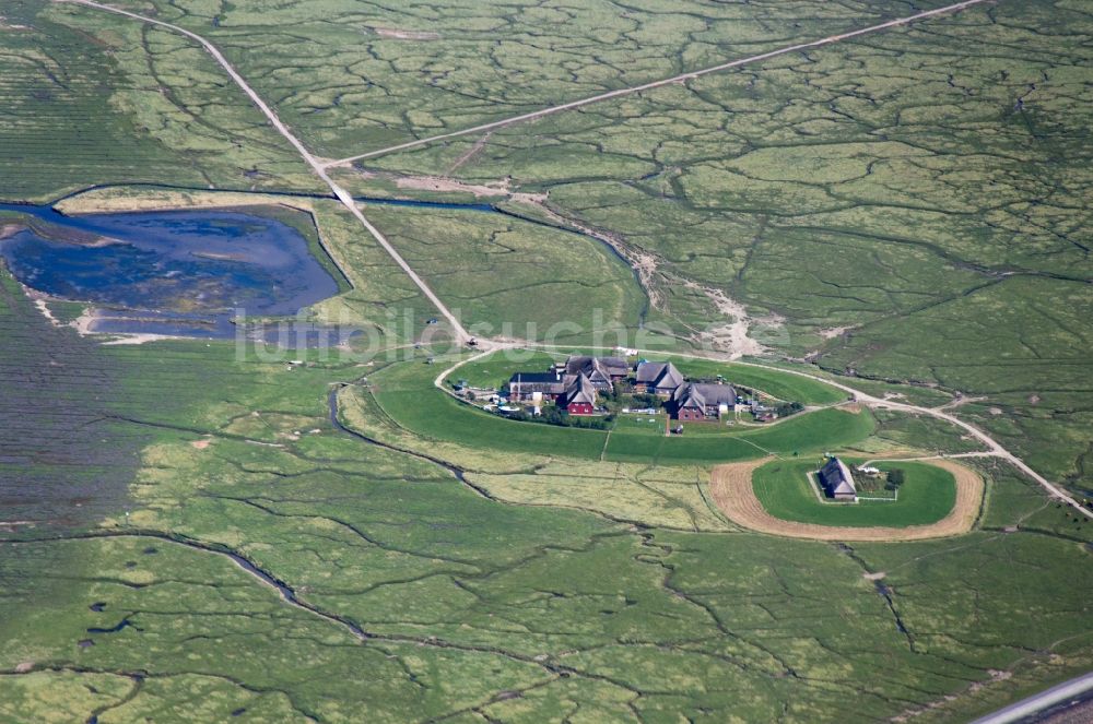 Luftaufnahme Hooge - Hallig Hooge in Schleswig-Holstein