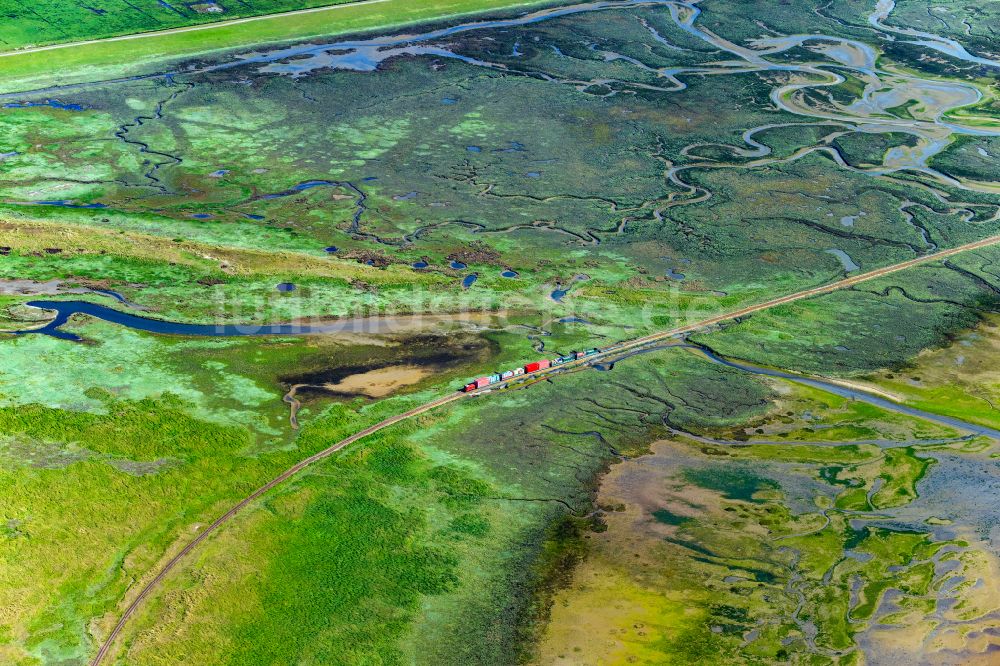 Luftbild Wangerooge - Hallig- Landschaft mit fahrenden Zug der Wangerooger Inselbahn in Wangerooge im Bundesland Niedersachsen, Deutschland