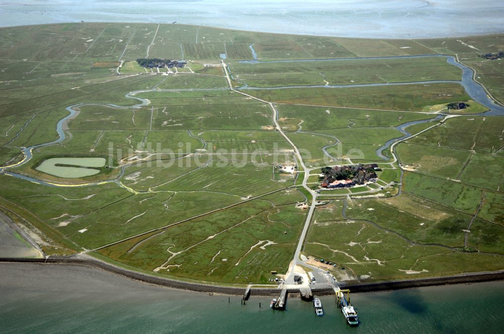 Hooge aus der Vogelperspektive: Hallig- Landschaft in Hooge im Bundesland Schleswig-Holstein, Deutschland