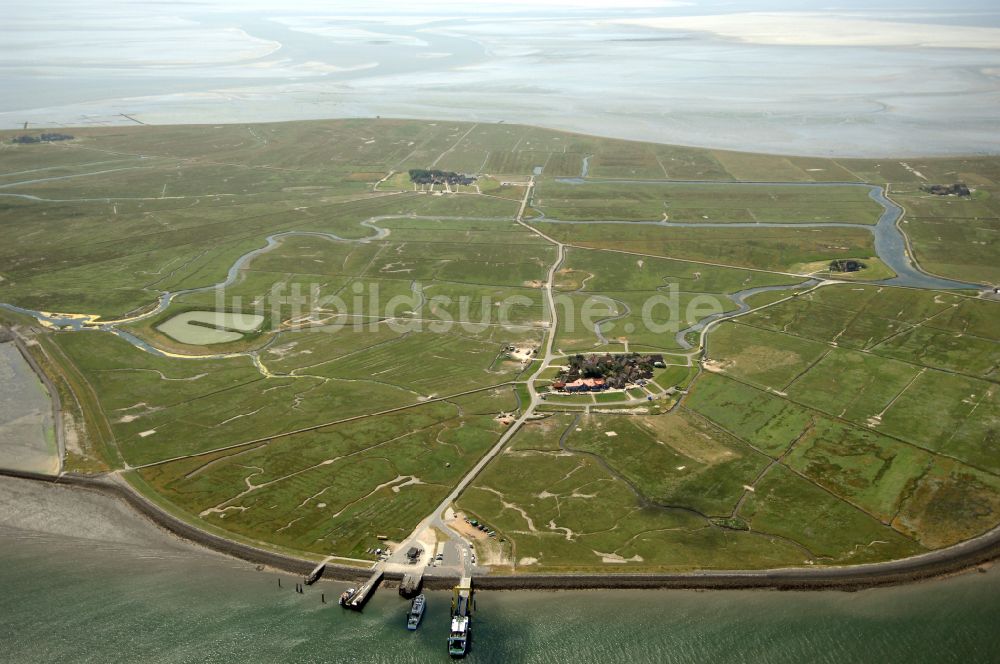 Luftaufnahme Hooge - Hallig- Landschaft in Hooge im Bundesland Schleswig-Holstein, Deutschland