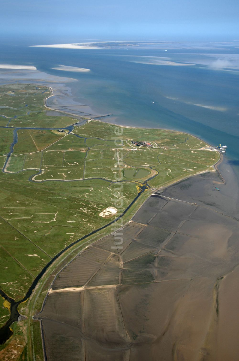 Hooge von oben - Hallig- Landschaft in Hooge im Bundesland Schleswig-Holstein, Deutschland