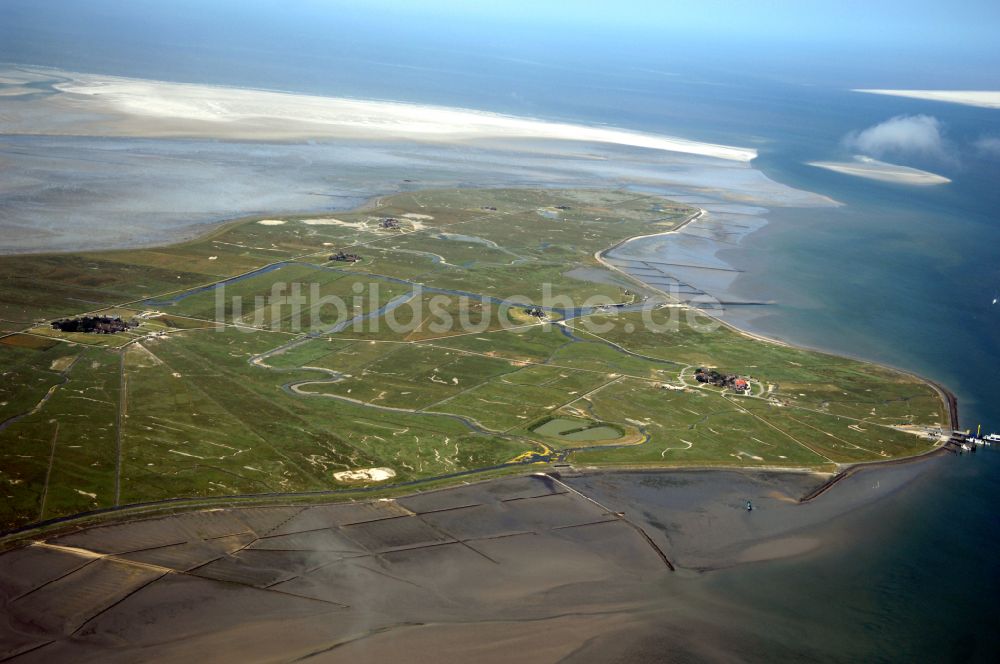 Luftaufnahme Hooge - Hallig- Landschaft in Hooge im Bundesland Schleswig-Holstein, Deutschland