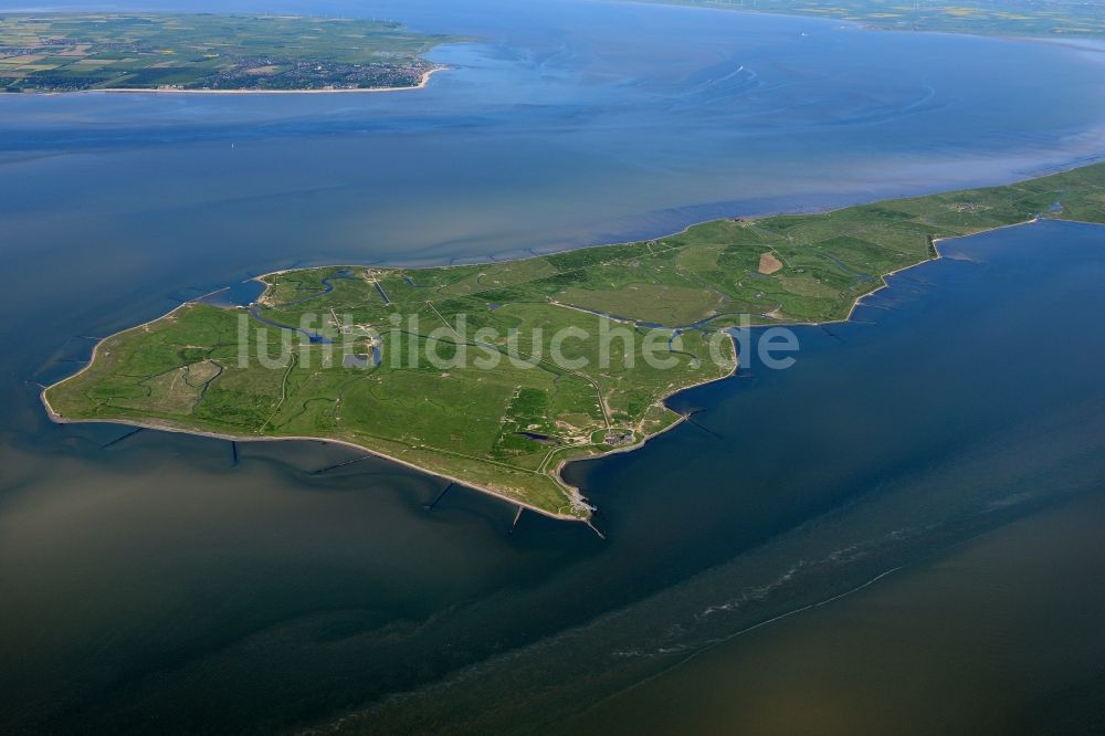 Langeneß aus der Vogelperspektive: Hallig- Landschaft der Nordsee - Insel in Langeneß im Bundesland Schleswig-Holstein, Deutschland