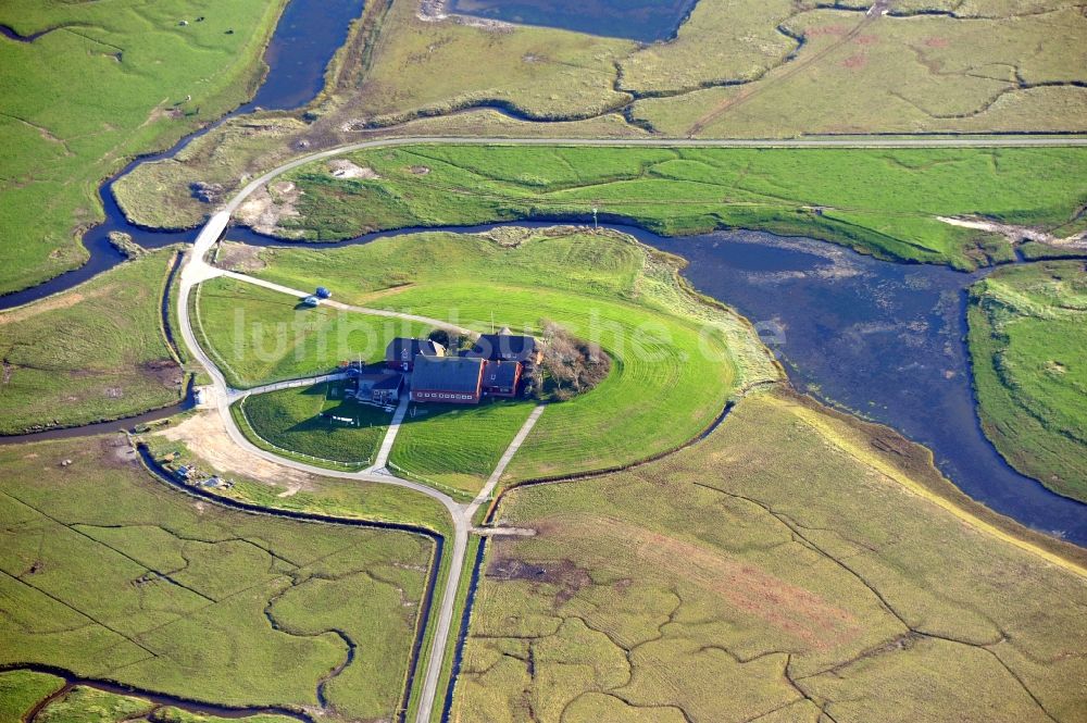 Langeneß von oben - Hallig- Landschaft der Nordsee - Insel in Langeneß im Bundesland Schleswig-Holstein, Deutschland