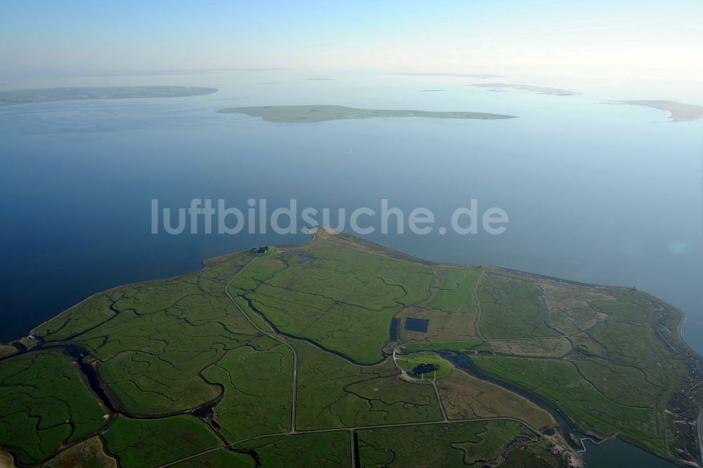 Luftbild Langeneß - Hallig- Landschaft der Nordsee - Insel in Langeneß im Bundesland Schleswig-Holstein, Deutschland