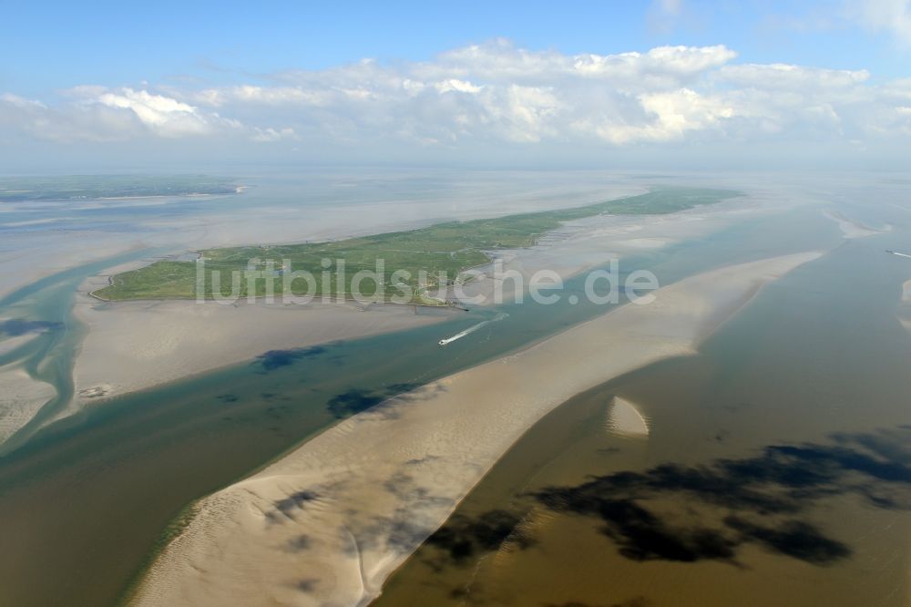 Langeneß von oben - Hallig- Landschaft der Nordsee - Insel in Langeneß im Bundesland Schleswig-Holstein, Deutschland