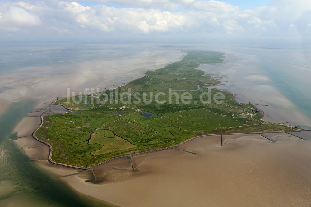 Luftaufnahme Langeneß - Hallig- Landschaft der Nordsee - Insel in Langeneß im Bundesland Schleswig-Holstein, Deutschland