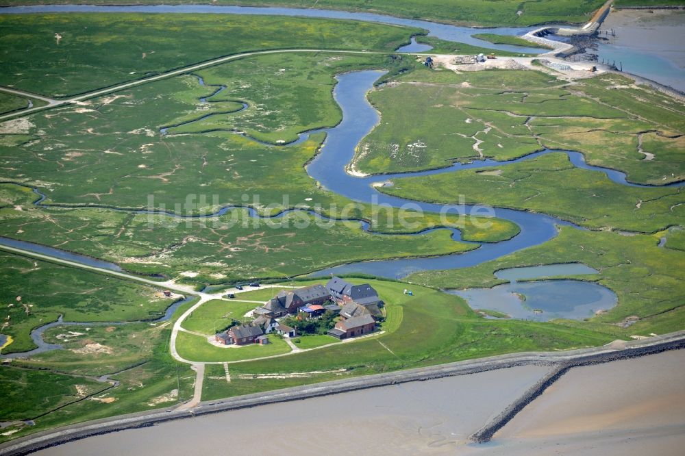 Langeneß aus der Vogelperspektive: Hallig- Landschaft der Nordsee - Insel in Langeneß im Bundesland Schleswig-Holstein, Deutschland