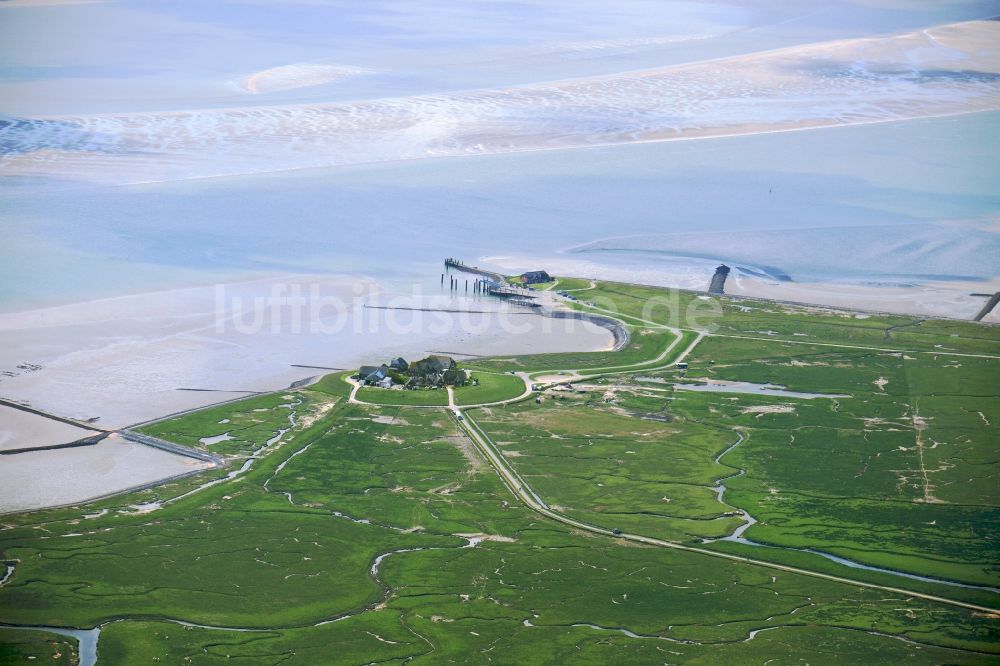 Luftbild Langeneß - Hallig- Landschaft der Nordsee - Insel in Langeneß im Bundesland Schleswig-Holstein, Deutschland