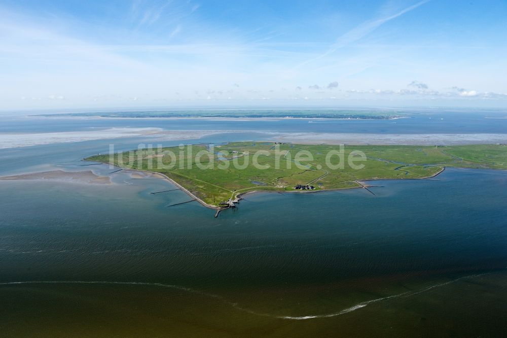 Luftaufnahme Langeneß - Hallig- Landschaft der Nordsee - Insel in Langeneß im Bundesland Schleswig-Holstein, Deutschland