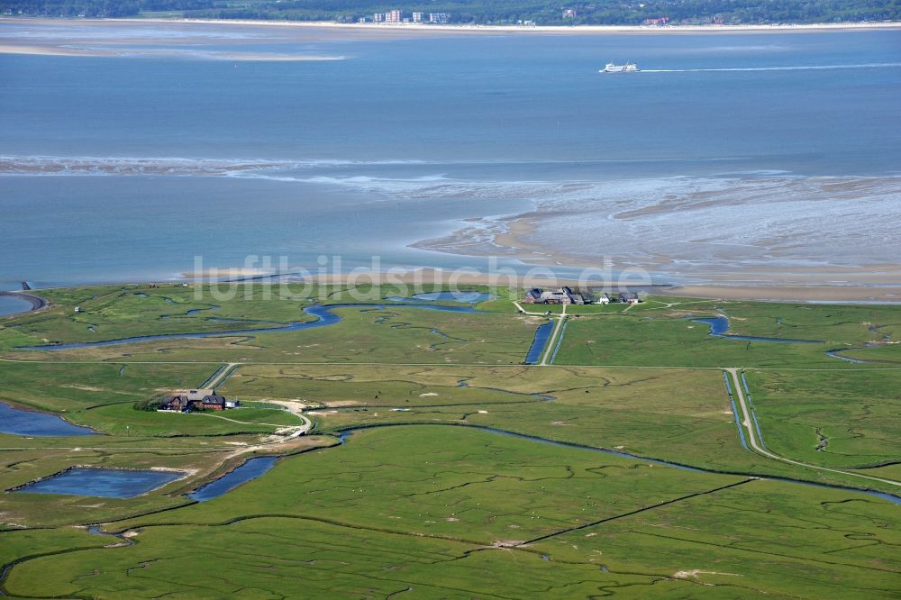 Langeneß von oben - Hallig- Landschaft der Nordsee - Insel in Langeneß im Bundesland Schleswig-Holstein, Deutschland