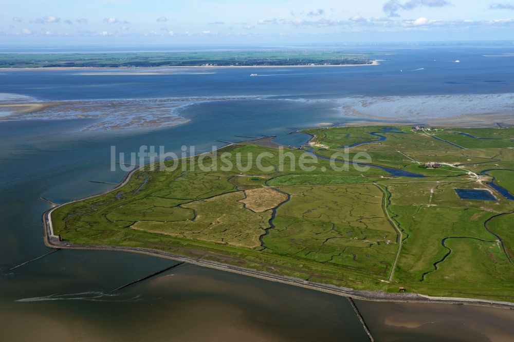 Langeneß aus der Vogelperspektive: Hallig- Landschaft der Nordsee - Insel in Langeneß im Bundesland Schleswig-Holstein, Deutschland