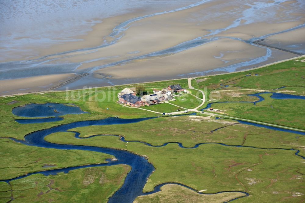 Langeneß aus der Vogelperspektive: Hallig- Landschaft der Nordsee - Insel in Langeneß im Bundesland Schleswig-Holstein, Deutschland