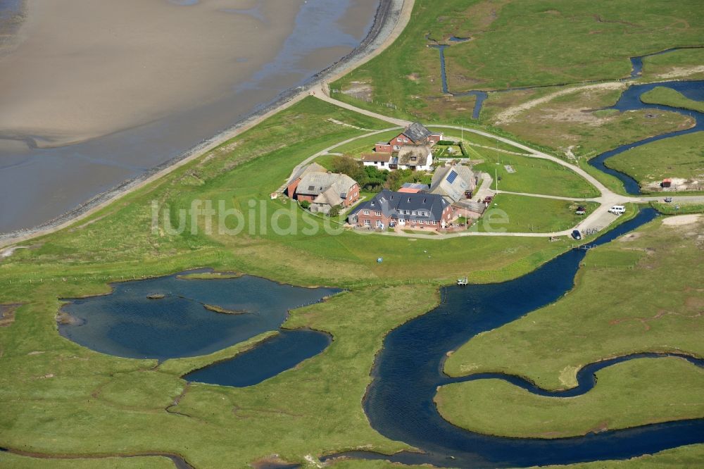 Luftaufnahme Langeneß - Hallig- Landschaft der Nordsee - Insel in Langeneß im Bundesland Schleswig-Holstein, Deutschland