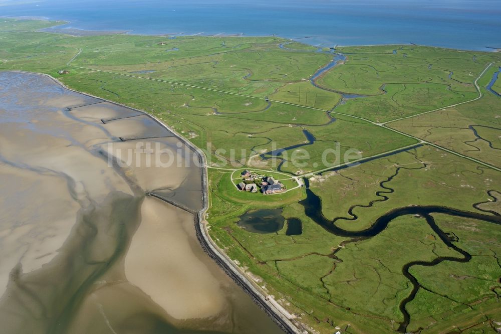 Langeneß von oben - Hallig- Landschaft der Nordsee - Insel in Langeneß im Bundesland Schleswig-Holstein, Deutschland