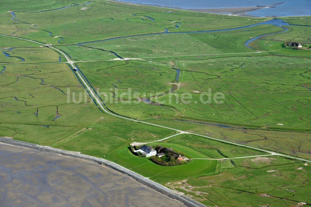 Langeneß aus der Vogelperspektive: Hallig- Landschaft der Nordsee - Insel in Langeneß im Bundesland Schleswig-Holstein, Deutschland