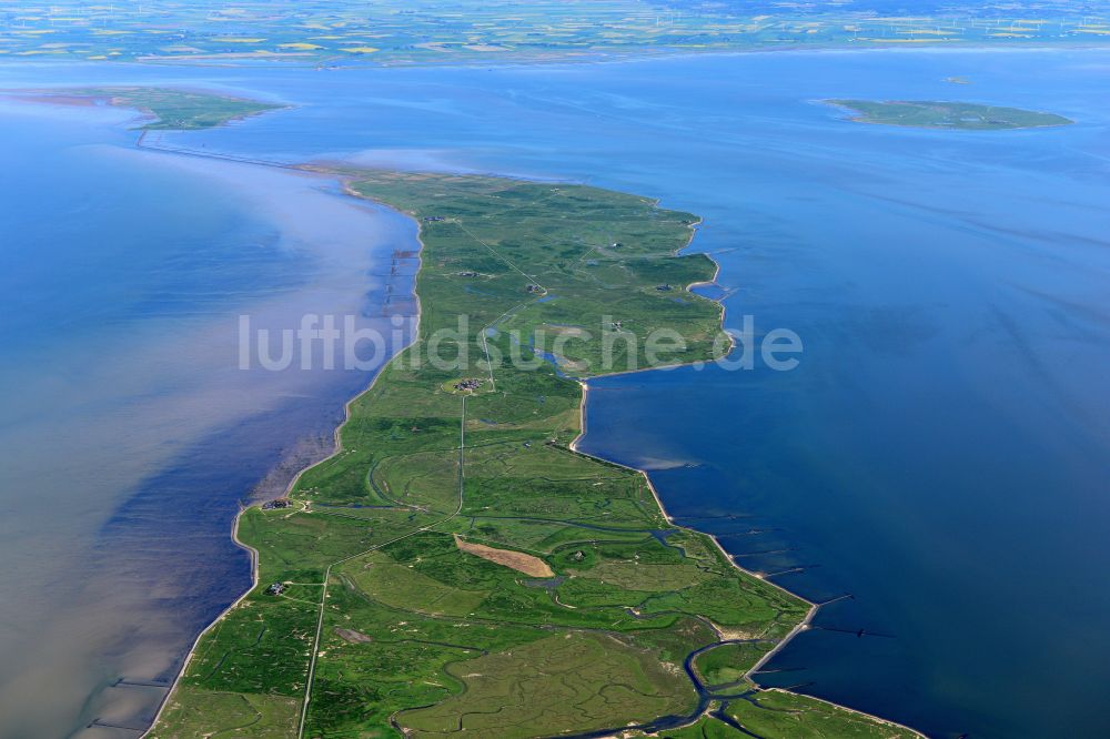 Luftbild Langeneß - Hallig- Landschaft der Nordsee in Langeneß im Bundesland Schleswig-Holstein, Deutschland