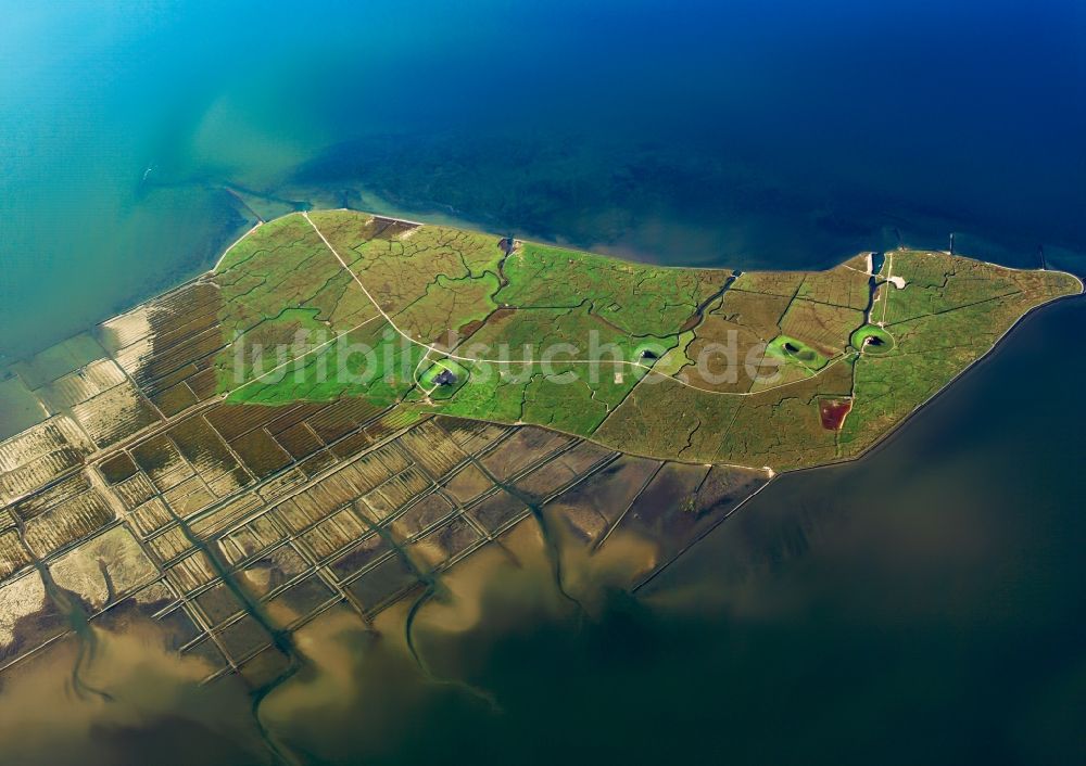 Luftbild Nordstrandischmoor - Hallig- Landschaft in Nordstrandischmoor im Bundesland Schleswig-Holstein, Deutschland