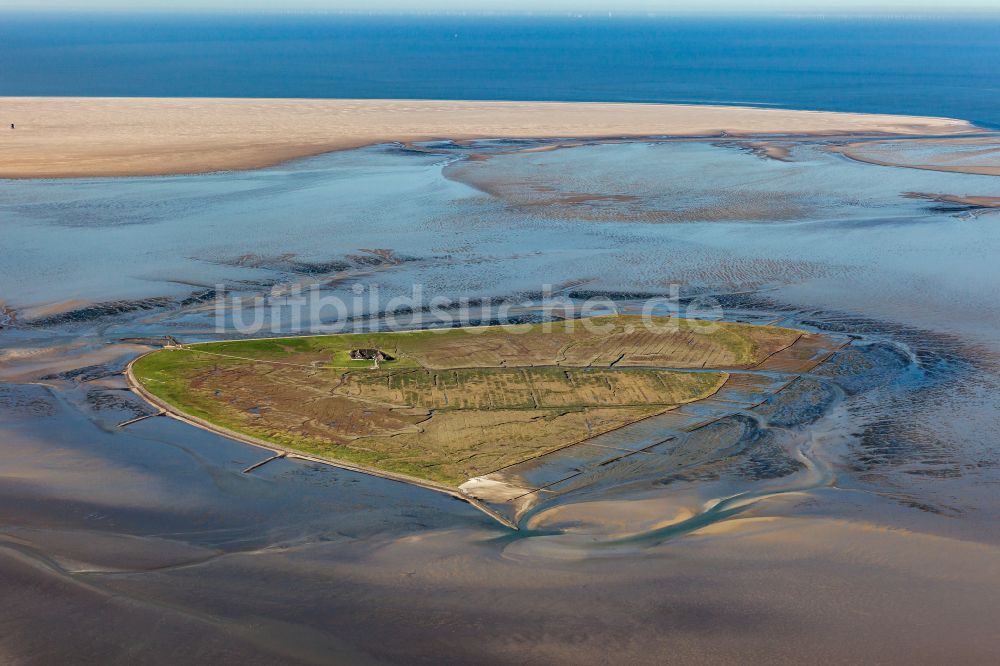 Pellworm von oben - Hallig- Landschaft in Pellworm im Bundesland Schleswig-Holstein, Deutschland