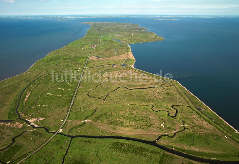 Luftbild Langeneß - Hallig Langeneß in Schleswig-Holstein