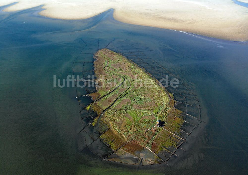 NORDEROOG aus der Vogelperspektive: Hallig Norderoog im Wattenmeer, vor der Westküste von Schleswig-Holstein