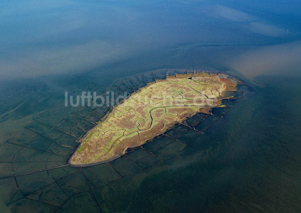 Luftaufnahme NORDEROOG - Hallig Norderoog im Wattenmeer, vor der Westküste von Schleswig-Holstein