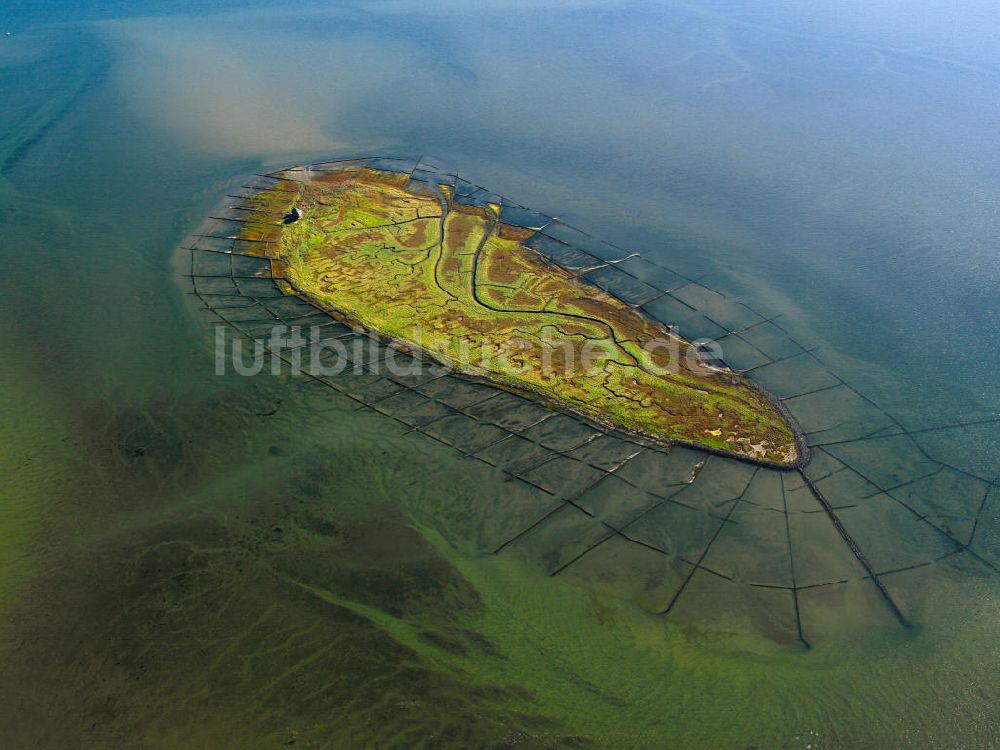 NORDEROOG aus der Vogelperspektive: Hallig Norderoog im Wattenmeer, vor der Westküste von Schleswig-Holstein