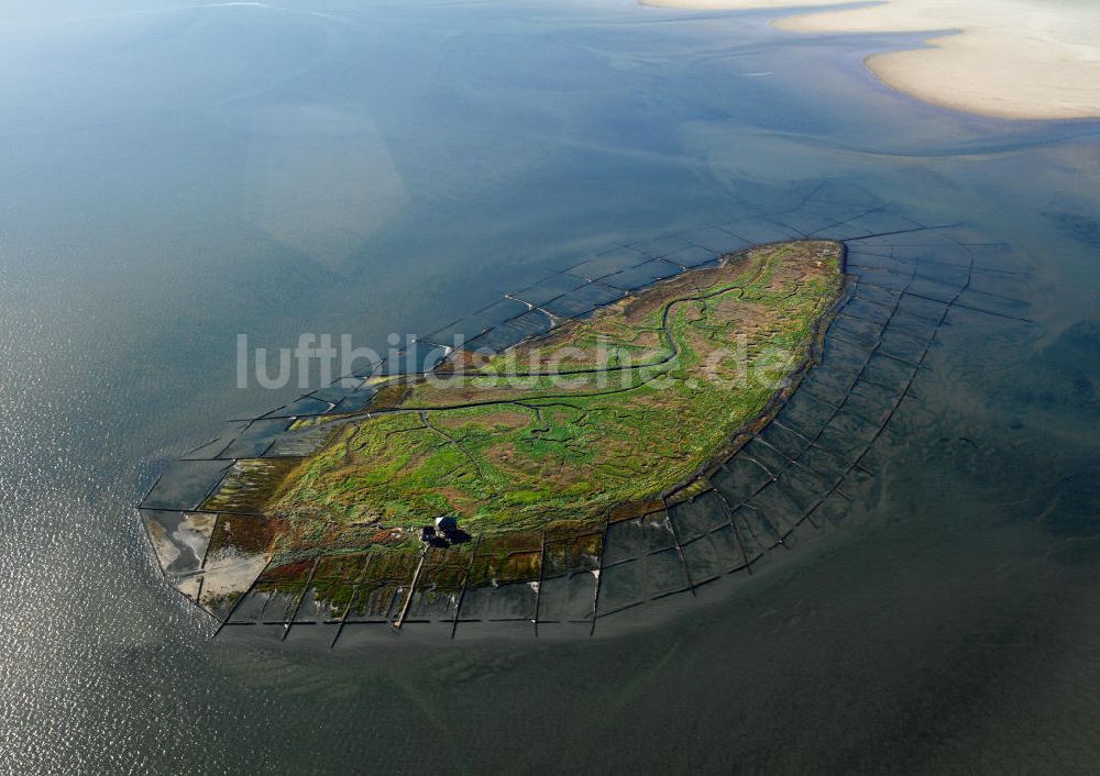 Luftbild NORDEROOG - Hallig Norderoog im Wattenmeer, vor der Westküste von Schleswig-Holstein