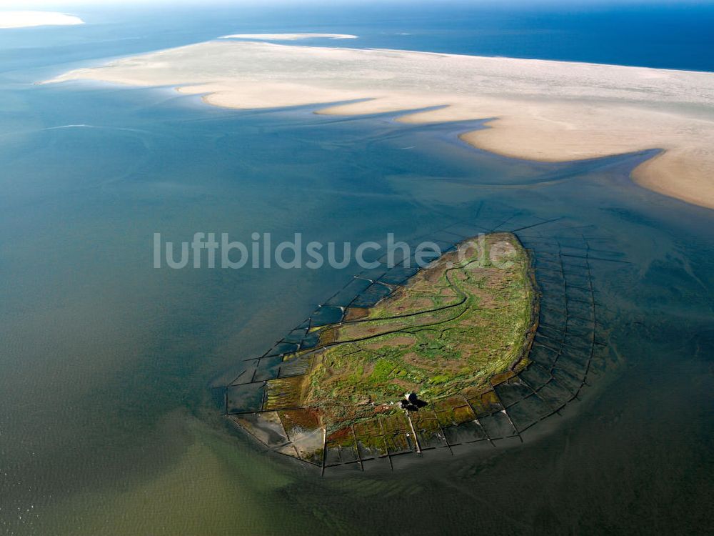 NORDEROOG von oben - Hallig Norderoog im Wattenmeer, vor der Westküste von Schleswig-Holstein