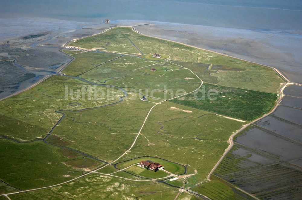 Hallig Nordstrandischmoor aus der Vogelperspektive: Hallig Nordstrandischmoor