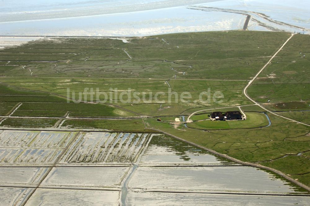 Hallig Nordstrandischmoor von oben - Hallig Nordstrandischmoor