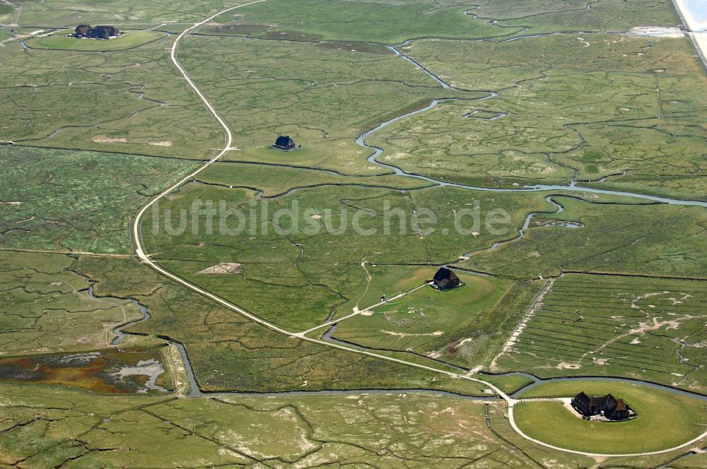 Luftaufnahme Hallig Nordstrandischmoor - Hallig Nordstrandischmoor