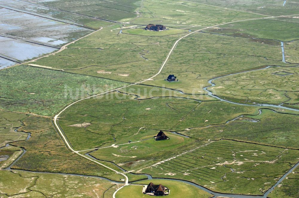 Luftaufnahme Hallig Nordstrandischmoor - Hallig Nordstrandischmoor