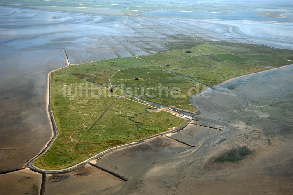 Hallig Nordstrandischmoor aus der Vogelperspektive: Hallig Nordstrandischmoor