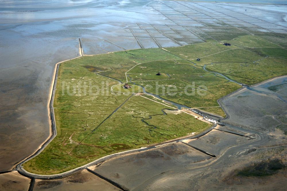 Luftbild Hallig Nordstrandischmoor - Hallig Nordstrandischmoor