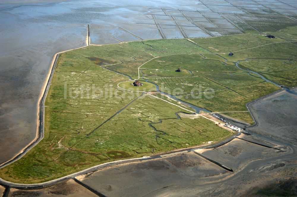 Luftaufnahme Hallig Nordstrandischmoor - Hallig Nordstrandischmoor