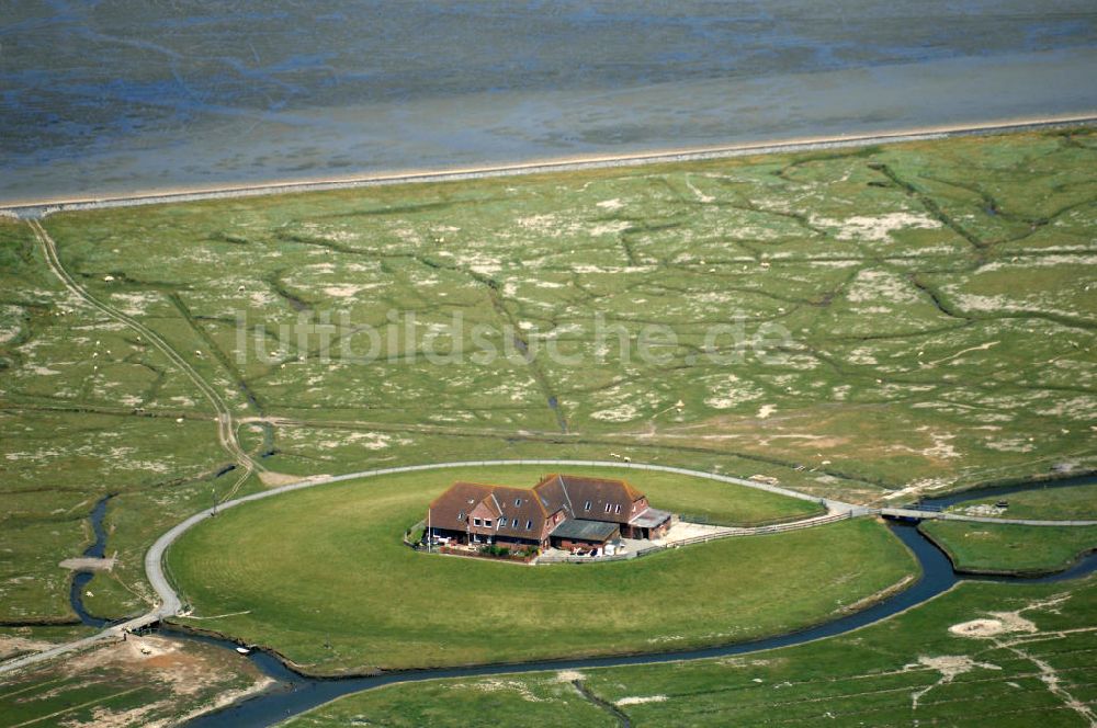 Hallig Nordstrandischmoor aus der Vogelperspektive: Hallig Nordstrandischmoor