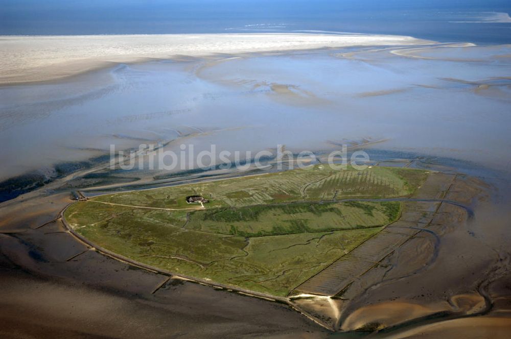 Luftbild Hallig Süderoog - Hallig Süderoog