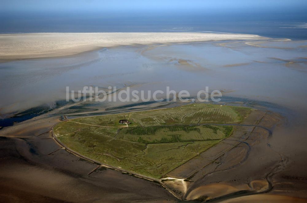 Luftaufnahme Hallig Süderoog - Hallig Süderoog