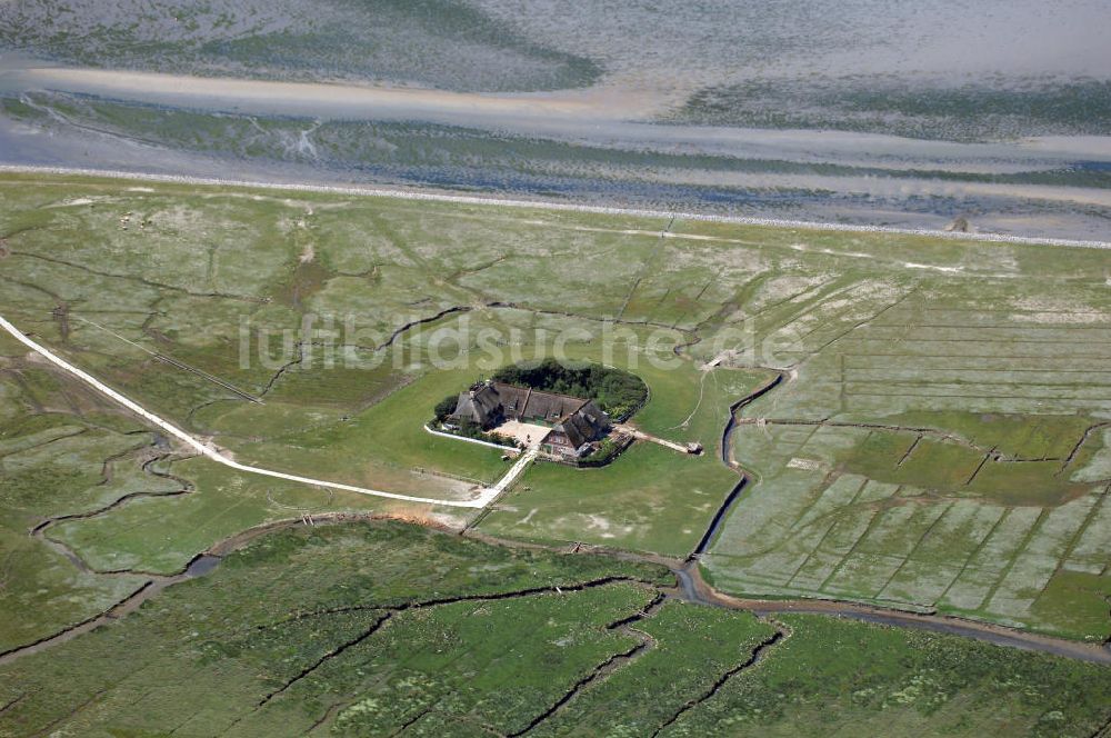 Luftbild Hallig Süderoog - Hallig Süderoog