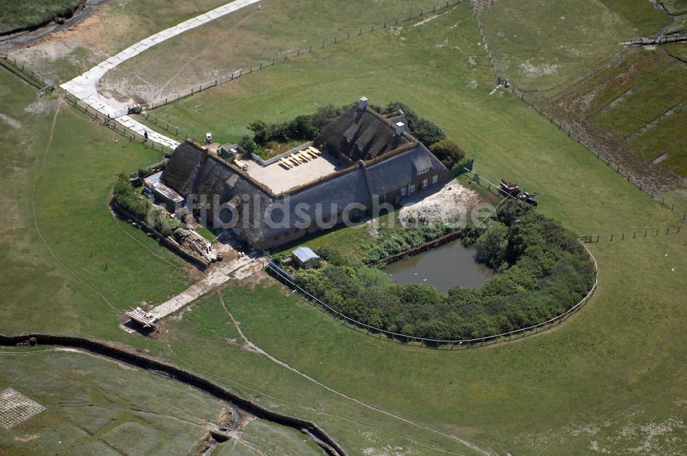 Luftaufnahme Hallig Süderoog - Hallig Süderoog