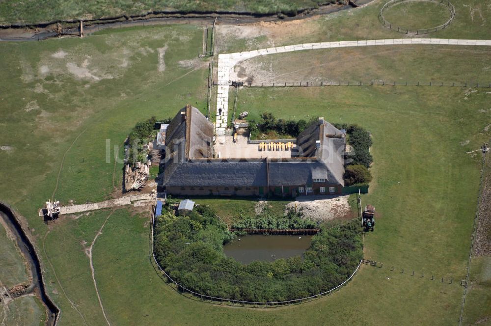 Luftaufnahme Hallig Süderoog - Hallig Süderoog