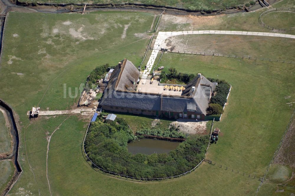 Hallig Süderoog von oben - Hallig Süderoog