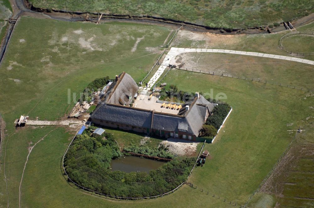 Hallig Süderoog aus der Vogelperspektive: Hallig Süderoog