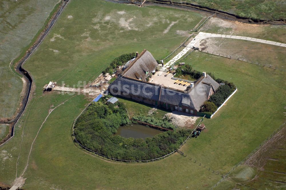 Luftbild Hallig Süderoog - Hallig Süderoog