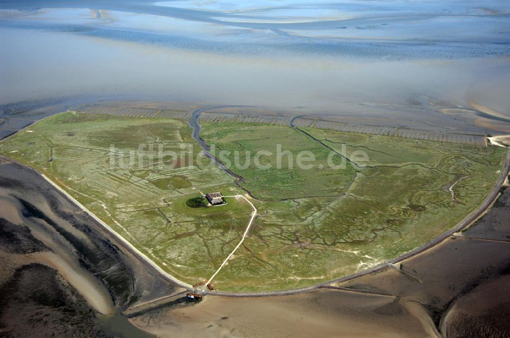 Hallig Süderoog von oben - Hallig Süderoog