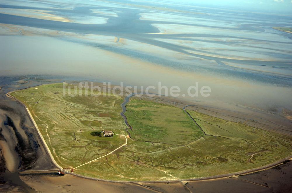 Luftaufnahme Hallig Süderoog - Hallig Süderoog